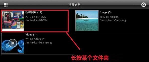 全员动物塑
